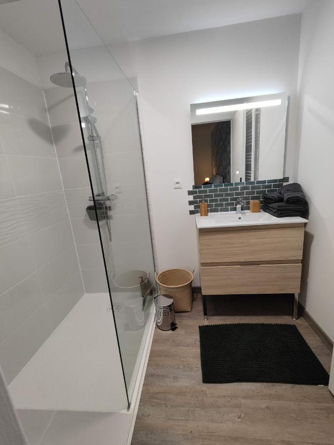 O Loft - 3 Chambres Avec 3 Salles De Bains - Parking - Climatisation Albi Exterior photo
