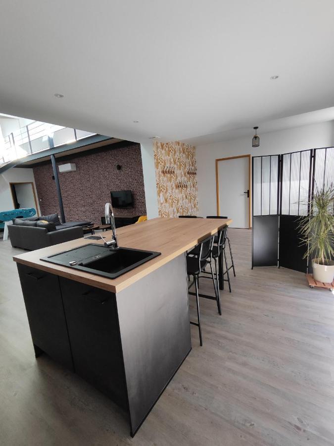 O Loft - 3 Chambres Avec 3 Salles De Bains - Parking - Climatisation Albi Exterior photo